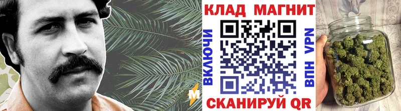 Купить наркотики цена Коряжма hydra как зайти  Конопля  СОЛЬ  АМФЕТАМИН  Псилоцибиновые грибы  ГЕРОИН  МЕФ  ГАШИШ  Кокаин 