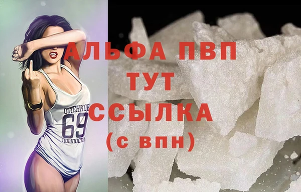 гашик Алексин