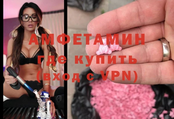 гашик Алексин