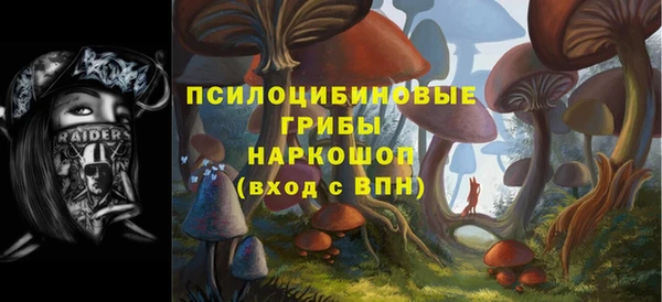 прущие крисы Арсеньев