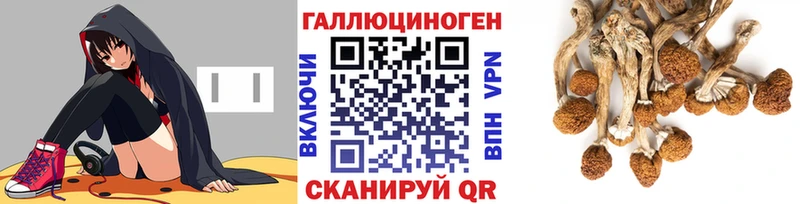 Галлюциногенные грибы Psilocybine cubensis  закладка  Коряжма 